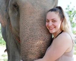 Заповедник слонов Elephant Jungle Sanctuary Pattaya - фото 1023