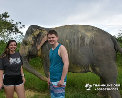Заповедник слонов Elephant Jungle Sanctuary Pattaya - фото 1001