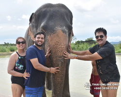 Заповедник слонов Elephant Jungle Sanctuary Pattaya - фото 1053
