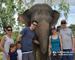 Заповедник слонов Elephant Jungle Sanctuary Pattaya - фото 398
