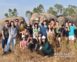 Заповедник слонов Elephant Jungle Sanctuary Pattaya - фото 45