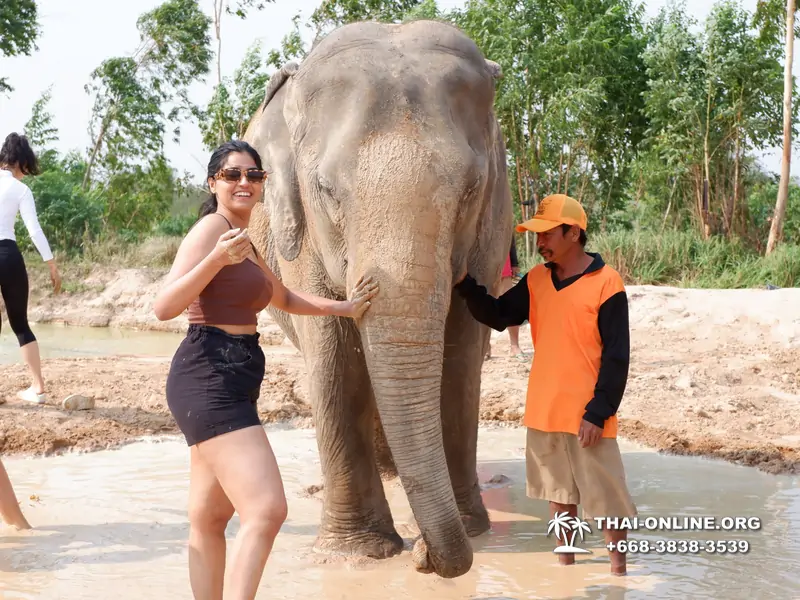 Заповедник слонов Elephant Jungle Sanctuary тур в Паттайе по цене выгоднее Klook Travel и Seven Countries - фото 31