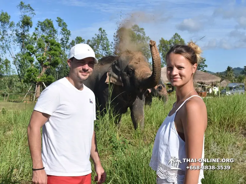 Заповедник слонов Elephant Jungle Sanctuary Pattaya - фото 214