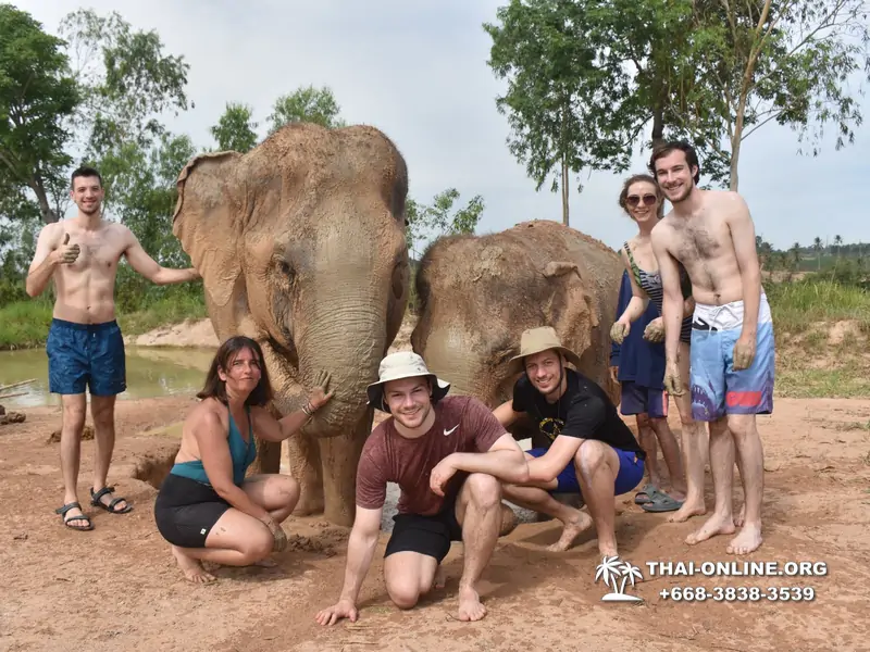 Заповедник слонов Elephant Jungle Sanctuary Pattaya - фото 198