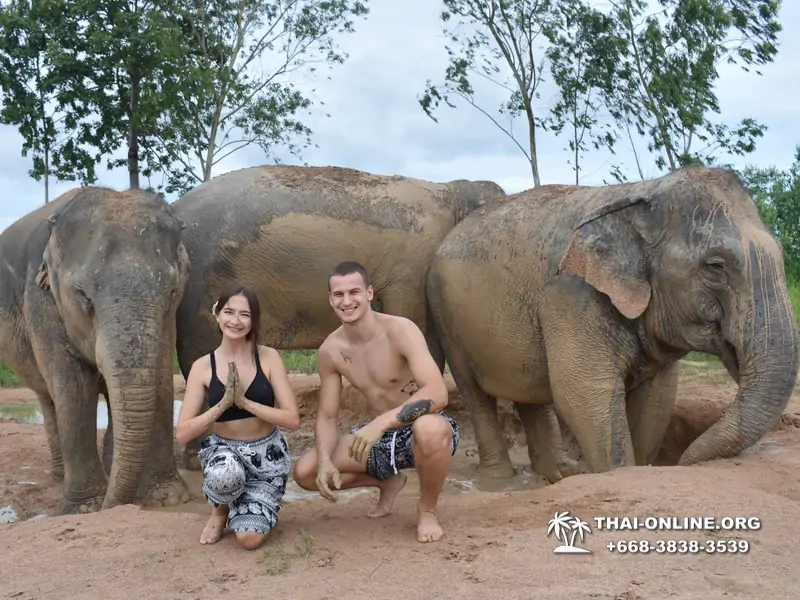 Заповедник слонов Elephant Jungle Sanctuary тур в Паттайе по цене выгоднее Klook Travel и Seven Countries - фото 24