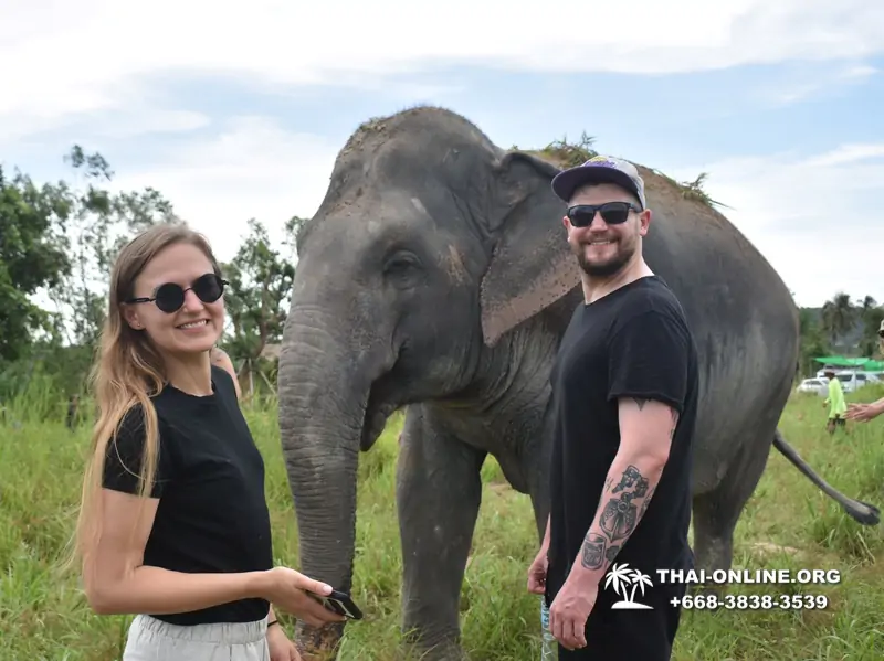 Заповедник слонов Elephant Jungle Sanctuary Pattaya - фото 1036