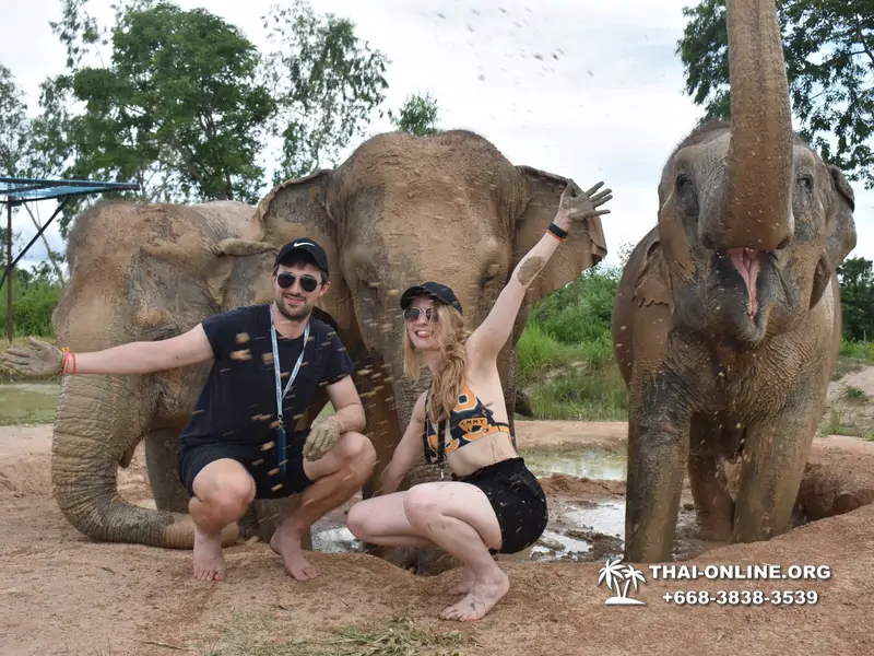 Заповедник слонов Elephant Jungle Sanctuary тур в Паттайе по цене выгоднее Klook Travel и Seven Countries - фото 32