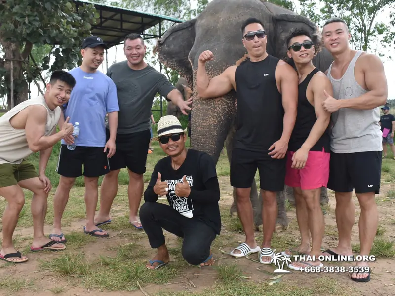 Заповедник слонов Elephant Jungle Sanctuary Pattaya - фото 351