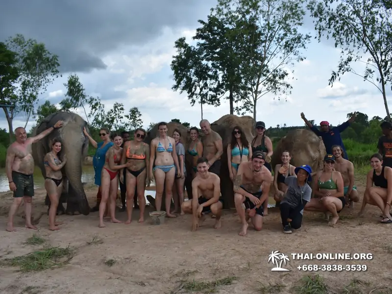 Заповедник слонов Elephant Jungle Sanctuary Pattaya - фото 346