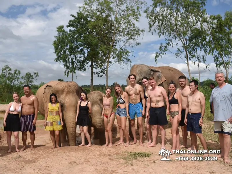 Заповедник слонов Elephant Jungle Sanctuary тур в Паттайе по цене выгоднее Klook Travel и Seven Countries - фото 15