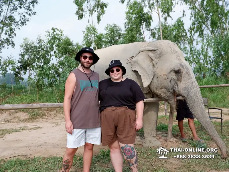 Заповедник слонов Elephant Jungle Sanctuary Pattaya - фото 36
