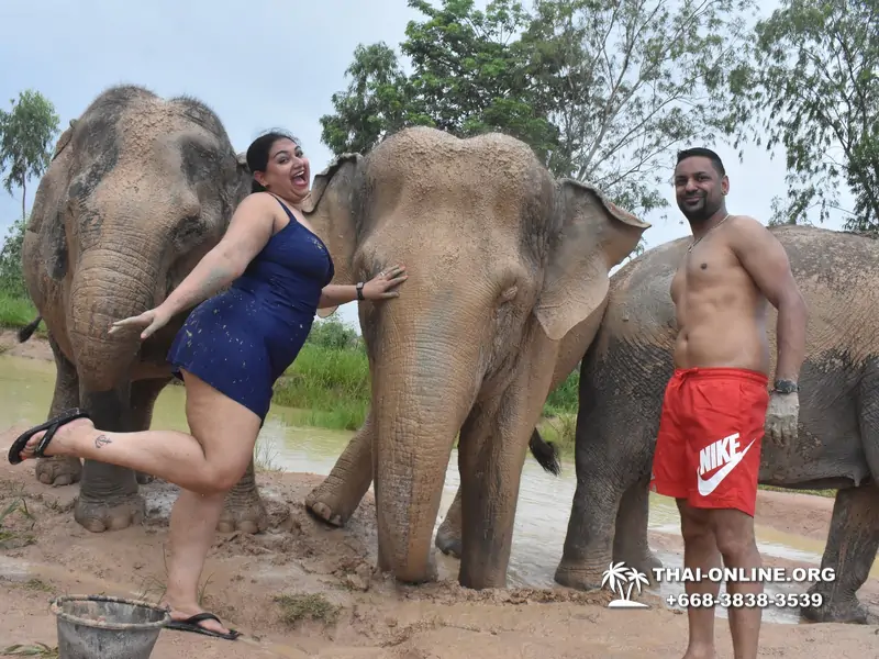 Заповедник слонов Elephant Jungle Sanctuary Pattaya - фото 260