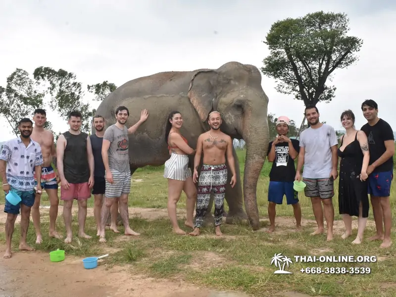 Заповедник слонов Elephant Jungle Sanctuary Pattaya - фото 406