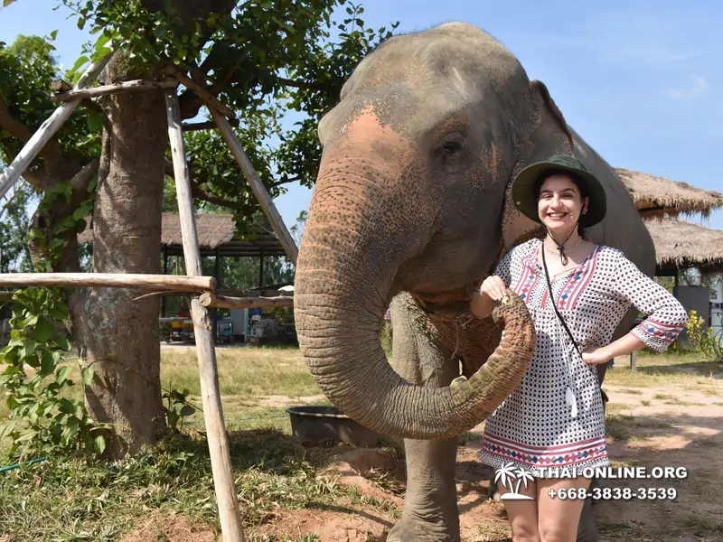 Заповедник слонов Elephant Jungle Sanctuary Pattaya - фото 41