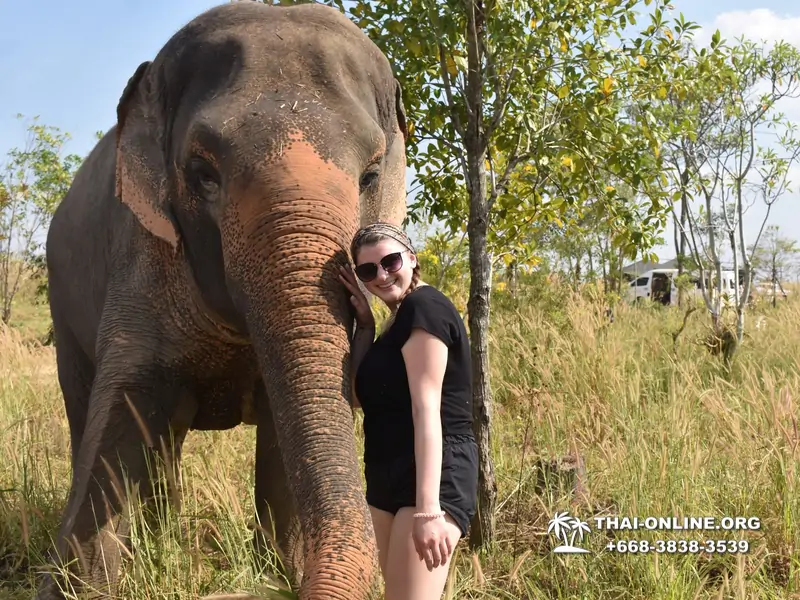 Заповедник слонов Elephant Jungle Sanctuary тур в Паттайе по цене выгоднее Klook Travel и Seven Countries - фото 28