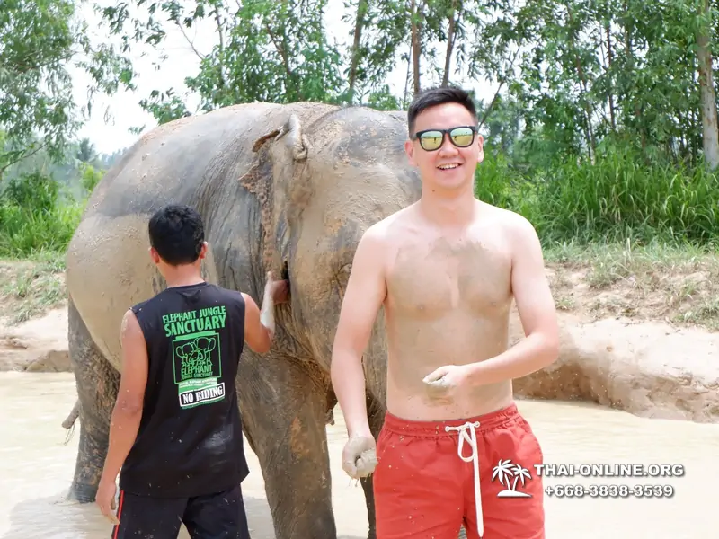 Заповедник слонов Elephant Jungle Sanctuary Pattaya - фото 281