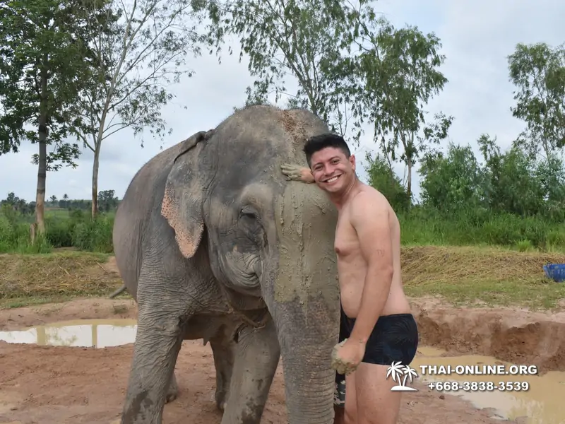 Заповедник слонов Elephant Jungle Sanctuary тур в Паттайе по цене выгоднее Klook Travel и Seven Countries - фото 18