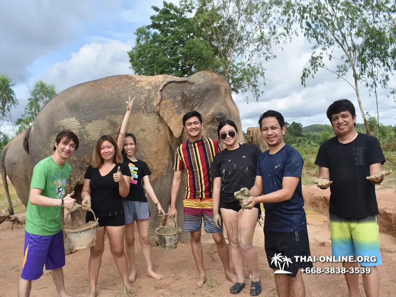 Заповедник слонов Elephant Jungle Sanctuary Pattaya - фото 231
