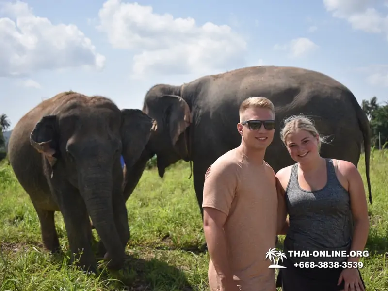 Заповедник слонов Elephant Jungle Sanctuary Pattaya - фото 1057