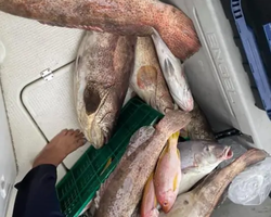 Большая морская рыбалка 7 Countries Паттайя Таиланд Real Fishing 300