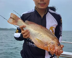 Большая морская рыбалка 7 Countries Паттайя Таиланд Real Fishing 599