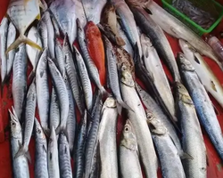 Большая морская рыбалка 7 Countries Паттайя Таиланд Real Fishing 137