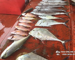 Большая морская рыбалка 7 Countries Паттайя Таиланд Real Fishing 293
