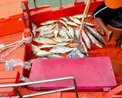 Большая морская рыбалка 7 Countries Паттайя Таиланд Real Fishing 89