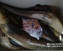 Большая морская рыбалка 7 Countries Паттайя Таиланд Real Fishing 907