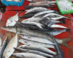 Большая морская рыбалка 7 Countries Паттайя Таиланд Real Fishing 105