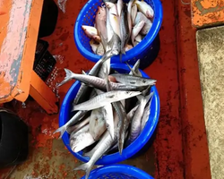 Большая морская рыбалка 7 Countries Паттайя Таиланд Real Fishing 75