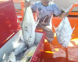 Большая морская рыбалка 7 Countries Паттайя Таиланд Real Fishing 582