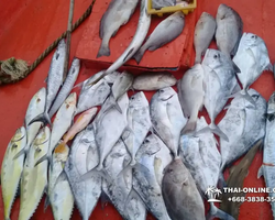 Большая морская рыбалка 7 Countries Паттайя Таиланд Real Fishing 264