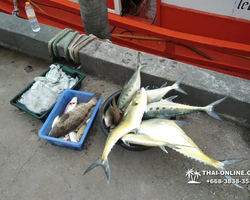 Большая морская рыбалка 7 Countries Паттайя Таиланд Real Fishing 292
