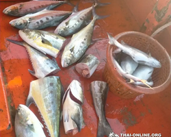 Большая морская рыбалка 7 Countries Паттайя Таиланд Real Fishing 272