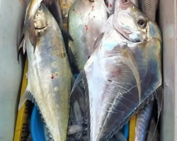 Большая морская рыбалка 7 Countries Паттайя Таиланд Real Fishing 400