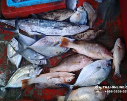 Большая морская рыбалка 7 Countries Паттайя Таиланд Real Fishing 42