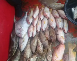 Большая морская рыбалка 7 Countries Паттайя Таиланд Real Fishing 550
