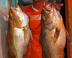 Большая морская рыбалка 7 Countries Паттайя Таиланд Real Fishing 86