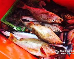 Большая морская рыбалка 7 Countries Паттайя Таиланд Real Fishing 274