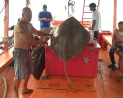 Большая морская рыбалка 7 Countries Паттайя Таиланд Real Fishing 802