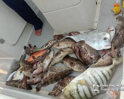 Большая морская рыбалка 7 Countries Паттайя Таиланд Real Fishing 428