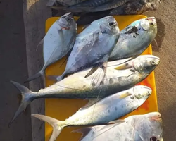 Большая морская рыбалка 7 Countries Паттайя Таиланд Real Fishing 321