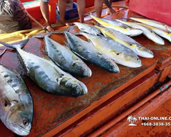Большая морская рыбалка 7 Countries Паттайя Таиланд Real Fishing 113