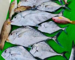 Большая морская рыбалка 7 Countries Паттайя Таиланд Real Fishing 87