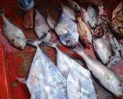Большая морская рыбалка 7 Countries Паттайя Таиланд Real Fishing 198