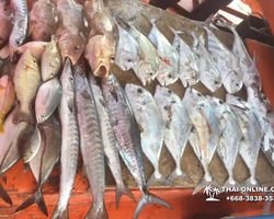 Большая морская рыбалка 7 Countries Паттайя Таиланд Real Fishing 248