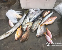 Большая морская рыбалка 7 Countries Паттайя Таиланд Real Fishing 419