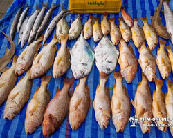 Большая морская рыбалка 7 Countries Паттайя Таиланд Real Fishing 2