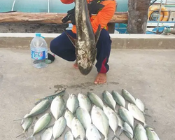 Большая морская рыбалка 7 Countries Паттайя Таиланд Real Fishing 237